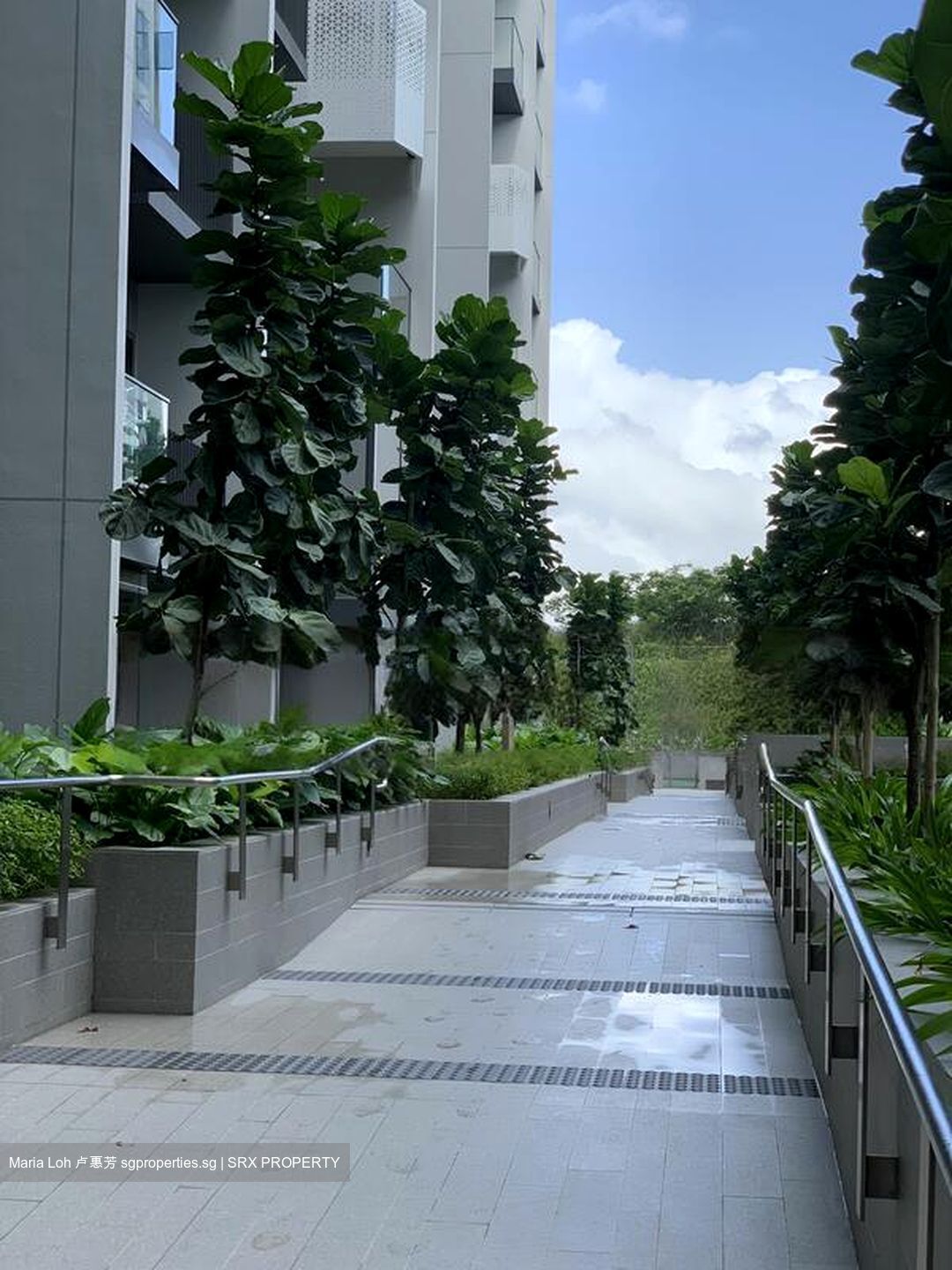 The Alps Residences (D18), Condominium #480092691